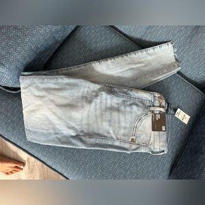 Express Skinny HR Jeans
